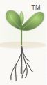 heal Houston seedling icon — mind and body connection